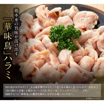 Y10-55 博多華味鳥 もつ鍋セット 醤油味(3～4人前) もつ鍋