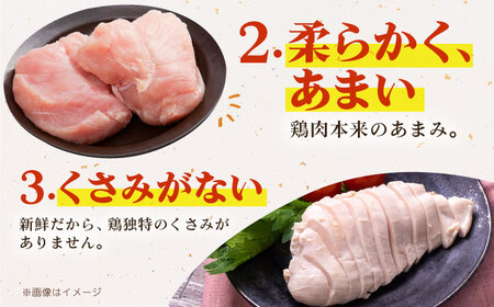 ありたどり ムネ肉 ブロック 計1kg HAA114 ムネ肉 鶏肉 有田鶏