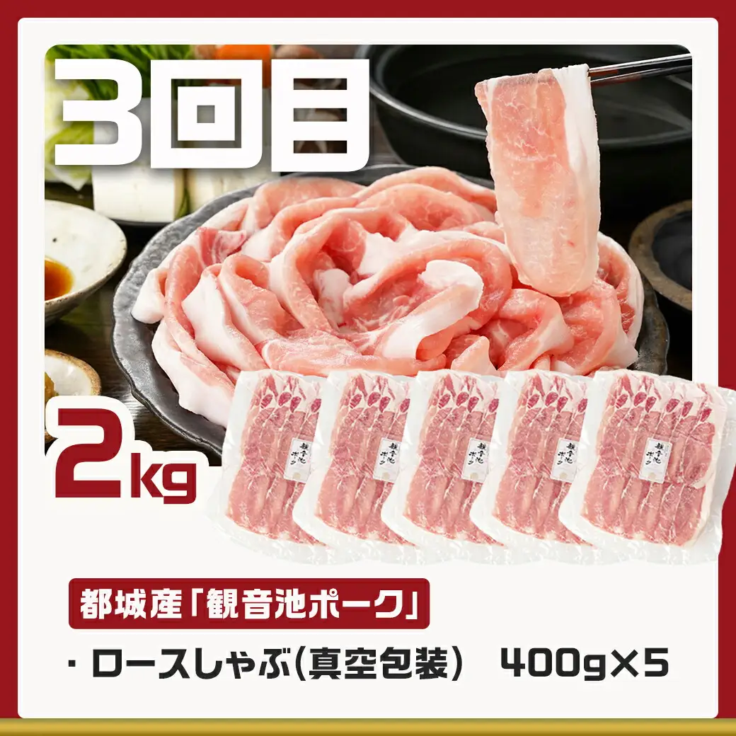 《3回連続お届け》観音池ポーク&宮崎県産豚定期便_T45-3-9201_(都城市) 都城産 観音池ポーク ロースしゃぶしゃぶ肉 肩ロースしゃぶしゃぶ肉 真空パック しゃぶしゃぶ用 ブランドポーク ミンチ スペアリブ とんかつ