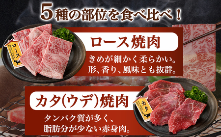 宮崎牛バラエティ焼肉セット1kg_22-8906_(都城市) 宮崎県産 宮崎牛 ロース ウデ バラ 肩ロース モモ バラエティセット 食べ比べ 霜降り コク 旨み 和牛 牛肉 肉 霜降り コク 風味 ごちそう 部位 5種 赤身