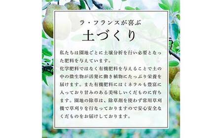 【先行受付（令和8年度発送）】食べ頃 山形特選ラ・フランス3kg FSY-2031