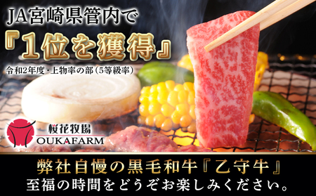 ≪限定200セット≫隔月6回お届け!【宮崎牛A5】焼肉6種盛り(乙守牛）_T192-6-6501_(都城市) 都城産宮崎牛 A5 焼肉6種盛 各100g ロース/肩ロース/ウデ/バラ/モモ(赤身)/モモ(霜降り) 隔月6回お届け