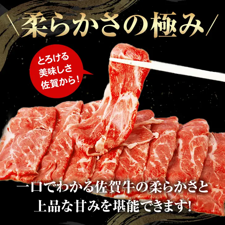 佐賀牛 牛肉切り落とし 500g  牛肉切り落とし  B110-025
