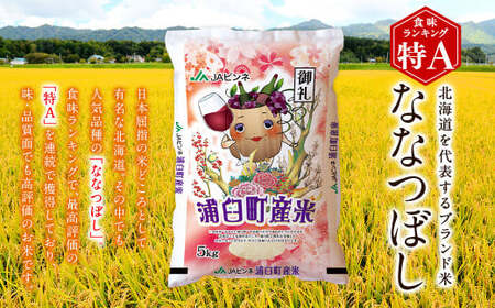 【6回定期便】＜令和8年産＞浦臼産ななつぼし 精白米 10kg（5kg×2袋） | 米 お米 こめ コメ ブランド米 白米 精米 ごはん ななつぼし 定期 定期便 北海道産 浦臼産 北海道 浦臼町 【2026年10月下旬より順次発送】