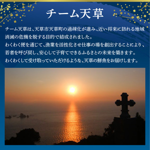 S059-021_天草わくわく旬魚刺身セットミニ（１人用）