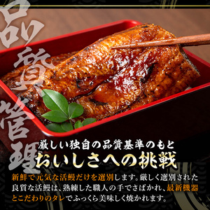 鹿児島県産 うなぎ 半身 カット セット (100g×4パック、タレ・山椒付き)【西日本養鰻】A585