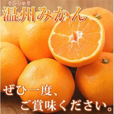 【2026年11月下旬より発送】有田の小粒みかん5kg　(S～3Sサイズ混合)【1568350】