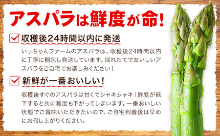 【先行予約】いっちゃんファームの アスパラ 1kg 熊本 | アスパラ