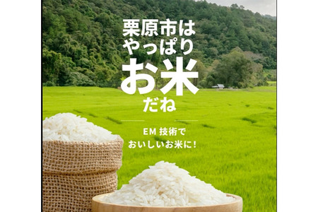 【EM栽培米・白米】宮城県栗原市産 つや姫 5kg