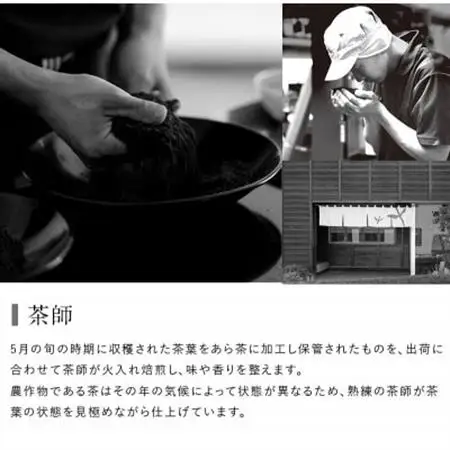 高級茶5種 飲み比べセット 計500g  深蒸し掛川茶 日本茶きみくら【5899】【配送不可地域：離島・沖縄県】【1658772】