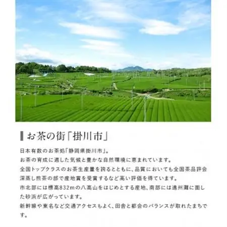 金印一番茶 3袋 合計540g　深蒸し掛川茶ブレンド 日本茶きみくら【5892】【配送不可地域：離島・沖縄県】【1678064】