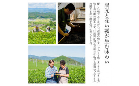 清流仁淀川 土佐茶めぐり リーフセット(箱入り) 池川一番茶 霧の贅20g×2 さわたりほうじ茶30g×2 香ル茶30g 