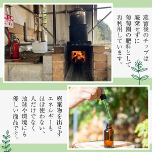 ボディソープヒノキ 250ml 京都産天然ヒノキ精油 ボディソープ 森の精油所 デオドラント効果 パラペンフリー 合成着色料フリー 合成香料フリー 鉱物油フリー サルフェートフリー シリコーンフリー エタノールフリー 京都産ヒノキ アロマ効果 リフレッシュ 京都府