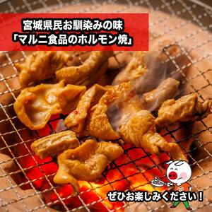 焼肉セット【肉 お肉 にく 牛たん ハラミ カルビ ホルモン バーベキュー食品  人気 おすすめ ギフト】