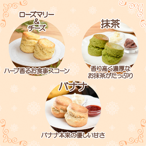 TIB-004 スコーン 6種 12個入 セット