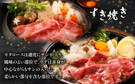 鹿児島黒牛 （ 肩ロース ･ ウデ ）スライスセット 計600g（ D-101 ） C069-005 肉 牛肉 冷凍