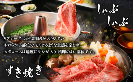 鹿児島黒牛（ リブロース ・ カタロース ）スライスセット 計600g（ H-101 ） C069-004 肉 牛肉 冷凍