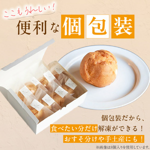 自然栽培 米粉のシュークリーム プレーン12個セット 〔Dw082〕