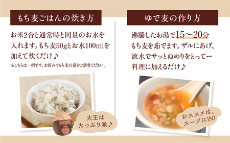 豊橋産スーパーもち麦　おためし900g