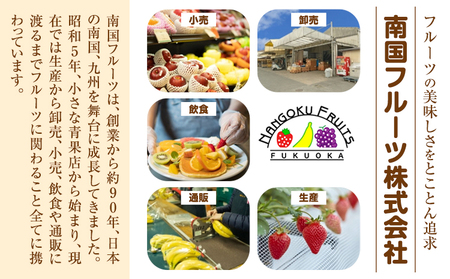 あまおうジェラート 100ml×6個 南国フルーツ株式会社《30日以内に出荷予定(土日祝除く)》福岡県 小竹町 あまおう いちご ジェラート 果物 送料無料