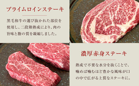 熟成黒毛和牛食べ比べセット [AOAS003]ステーキ