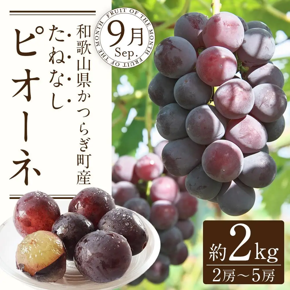 定期便全3回 【7月・8月・9月発送】 和歌山の夏のフルーツをお届け（桃・梨・たねなしピオーネ）【TM179】