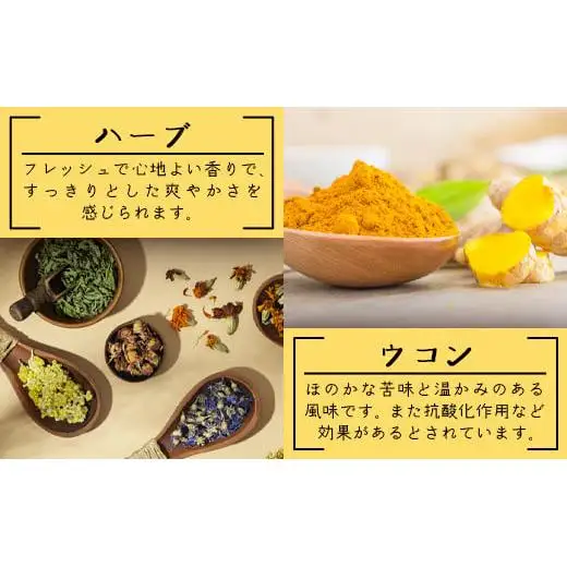 島コーラS 3本セット　CS-2