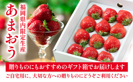 福岡県産 あまおう ギフト箱 約600g 南国フルーツ株式会社《2026年12月上旬-2027年3月末頃出荷》福岡県 鞍手町 あまおう いちご イチゴ 送料無料【配送不可地域あり】