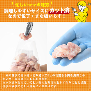 鶏肉 もも肉 小分け 個別凍結(計3kg・250g×12P)お肉  カット済  宮崎県産 冷凍 【NK-02】【株式会社南九フーズ】