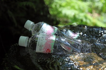 【定期便・霧島連山天然水 12か月コース】ミネラルたっぷり中硬水 細野の天然水 555ml×24本×12回 ミネラルウォーター