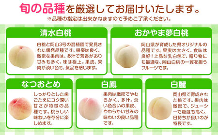 岡山県の旬の白桃 	約3.6kg 花田青果株式会社