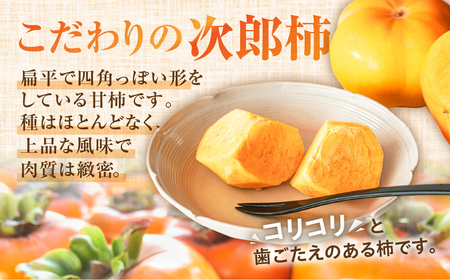 《先行予約》皇室献上品 次郎柿 三昧セット 百年柿園 ベル・ファーム 産地直送 生産者直送 農家直送 高糖度 愛知県 豊橋市 送料無料 39000円
