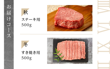 黒毛和牛 みかわ牛 希少部位 定期便4回 牛肉