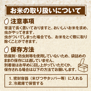 【令和8年10月以降発送新米】MS-98 大山町産こしひかり【大山の一粒】10ｋｇ（白米）