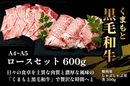 【定期便6回】A4・A5 くまもと黒毛和牛 ロース セット 計600g ( すき焼き / 焼肉 各300g )×6回 お届け 本場 熊本県 ブランド 牛 黒毛 和牛 厳選 A4以上 肉 上質 熊本県 すきやき 焼き肉 113-0515