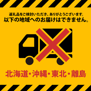 【2027年1月より順次発送】 いちご さちのか 約1kg (約200g×5パック) いちご