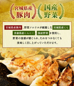 はちやの餃子 ≪30個入り≫ こだわり 本格 生餃子 選べる容量  1週間程度で発送 冷凍餃子  hc00002