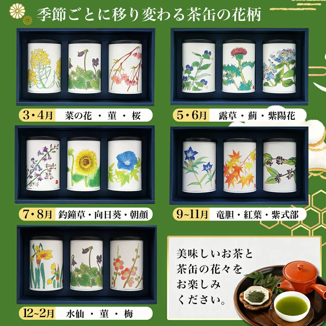 斉光園のふかむし茶☆ギフト缶でお届け≪みやこんじょ快速便≫〔AA-C3-004-R〕_(都城市) 茶葉セット ふかむし茶 お茶っ葉 深蒸し茶 茶葉 ギフト対応