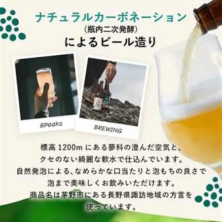八ヶ岳山麓のクラフトビール　飲み比べ6本セット　【ギフトに】【飲み比べ】_ビール クラフトビール 酒 アルコール 人気 おすすめ 送料無料 贈答 ギフト 八ヶ岳山麓 長野県_【配送不可地域：離島】【1569847】