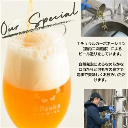【毎月定期便】八ヶ岳山麓のクラフトビール2種4本セット【食事に合う】エイトピークスブルーイング全3回_酒・アルコール  ビール   定期便 定期便  _【配送不可地域：離島】【4060153】