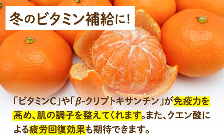 【2026年11月下旬-発送】【高糖度】温州みかん 約3kg / みかん ミカン 蜜柑 果物 フルーツ / 南島原市 / 南島原果物屋[SCV021]