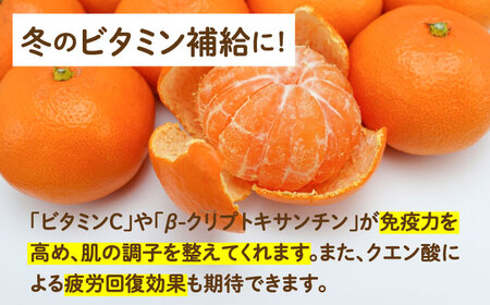 【2026年11月下旬-発送】【高糖度】訳あり 温州みかん 約3kg（傷もの）/ みかん ミカン 蜜柑 果物 フルーツ / 南島原市 / 南島原果物屋[SCV022]