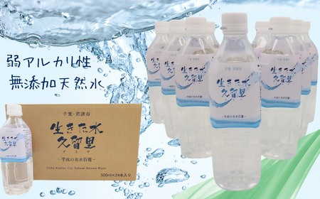 【 平成の名水百選 】 君津市 久留里の名水 生きた水 ・ 久留里 ペットボトル 2ケース  48本  （ 1ケース 500ml ペットボトル 24本 × 2 ） | ミネラルウォーター 飲料 ドリンク 水 みず 名水 無添加 天然水 弱アルカリ性 軟水 久留里の水 安全 常備 国産 くるり 千葉県 君津 きみつ