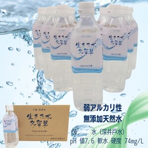 【 定期便 3回 】【 平成の名水百選 】 君津市 久留里の名水 生きた水 ・ 久留里 ペットボトル 2ケース  48本  （ 1ケース 500ml ペットボトル 24本 × 2 ）×3 回  | ミネラルウォーター 飲料 ドリンク 水 みず 名水 無添加 天然水 弱アルカリ性 軟水 久留里の水 安全 常備 国産 くるり 千葉県 君津 きみつ