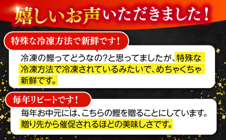 【12回定期便】完全ワラ焼き鰹たたき「龍馬タタキ」 (家庭用) 2節セット / かつお カツオ カツオのたたき 高知 わら 【株式会社Dorago】[ATAM036]