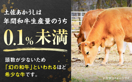 【最速発送】土佐あかうし サーロイン＆モモステーキセット　計約1kg【幻の和牛の贅沢セット】【株式会社Dorago】[ATAM043]　スピード 最短 最速 発送