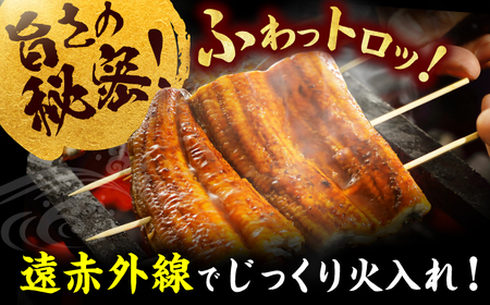 【12回定期便】刻み鰻個食パック 計1kg（100g×10P） / うなぎ 鰻 ウナギ きざみウナギ 刻み鰻 うなぎ ウナギ 鰻[AFBS004] うなぎ ウナギ うなぎ 鰻