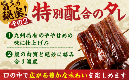 特大うなぎ蒲焼（220g×2尾） / うなぎ ウナギ 鰻 [AFBS005]