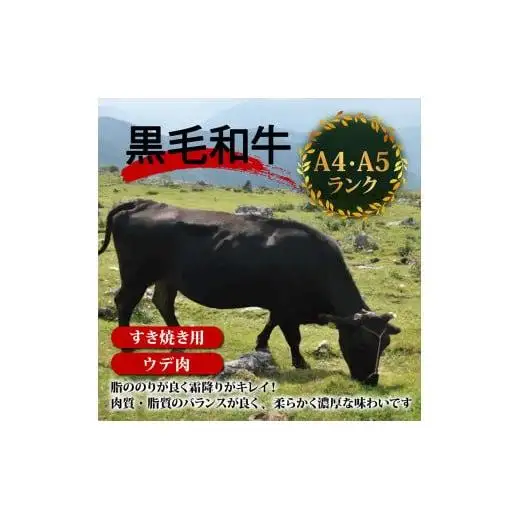 【 黒毛和牛 】 黒毛和牛すき焼き用12ヶ月