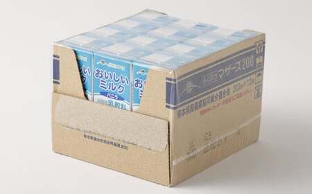 【3か月連続定期便】 おいしいミルクバニラ 200ml 12本×3回 計36本 牛乳 ぎゅうにゅう  ミルク バニラ風味 紙パック 飲料 乳飲料 定期便 長期保存 熊本県